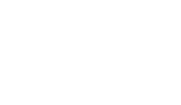 Alternate Text